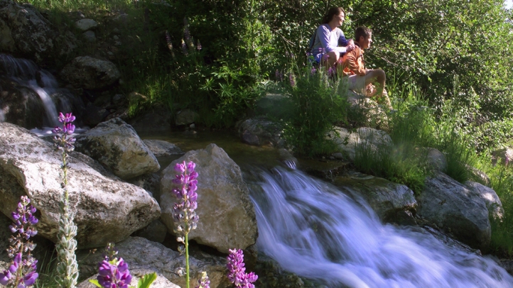 Jackson Hole Hiking