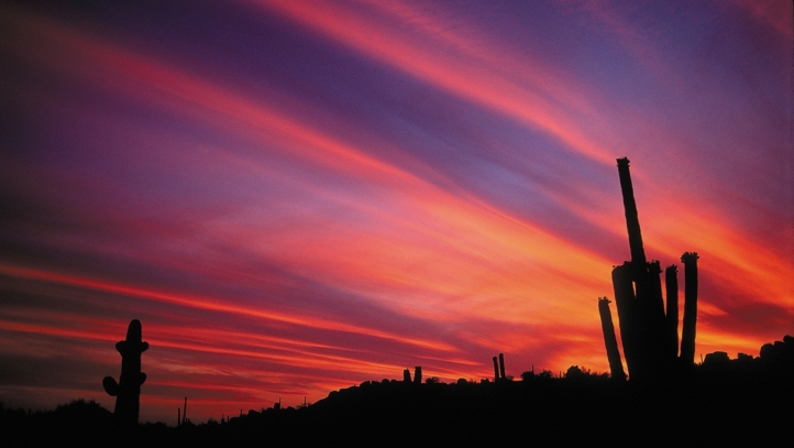Scottsdale Sunset