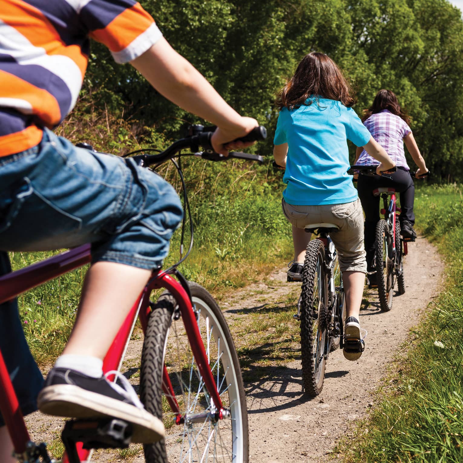 Lower view of people on bicycles riding through path in green rice plantation fields