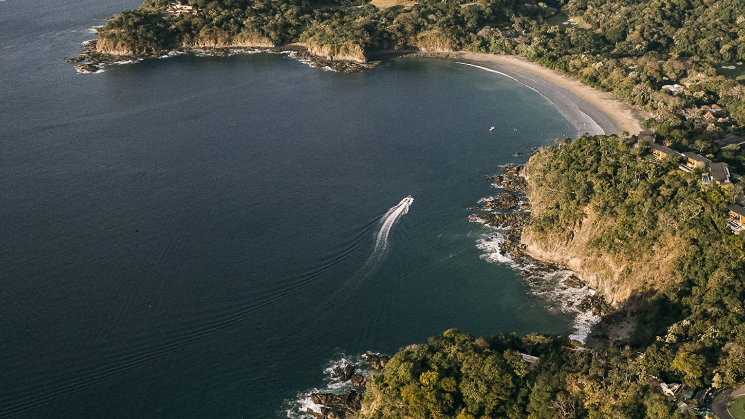 A coastline covered in trees.