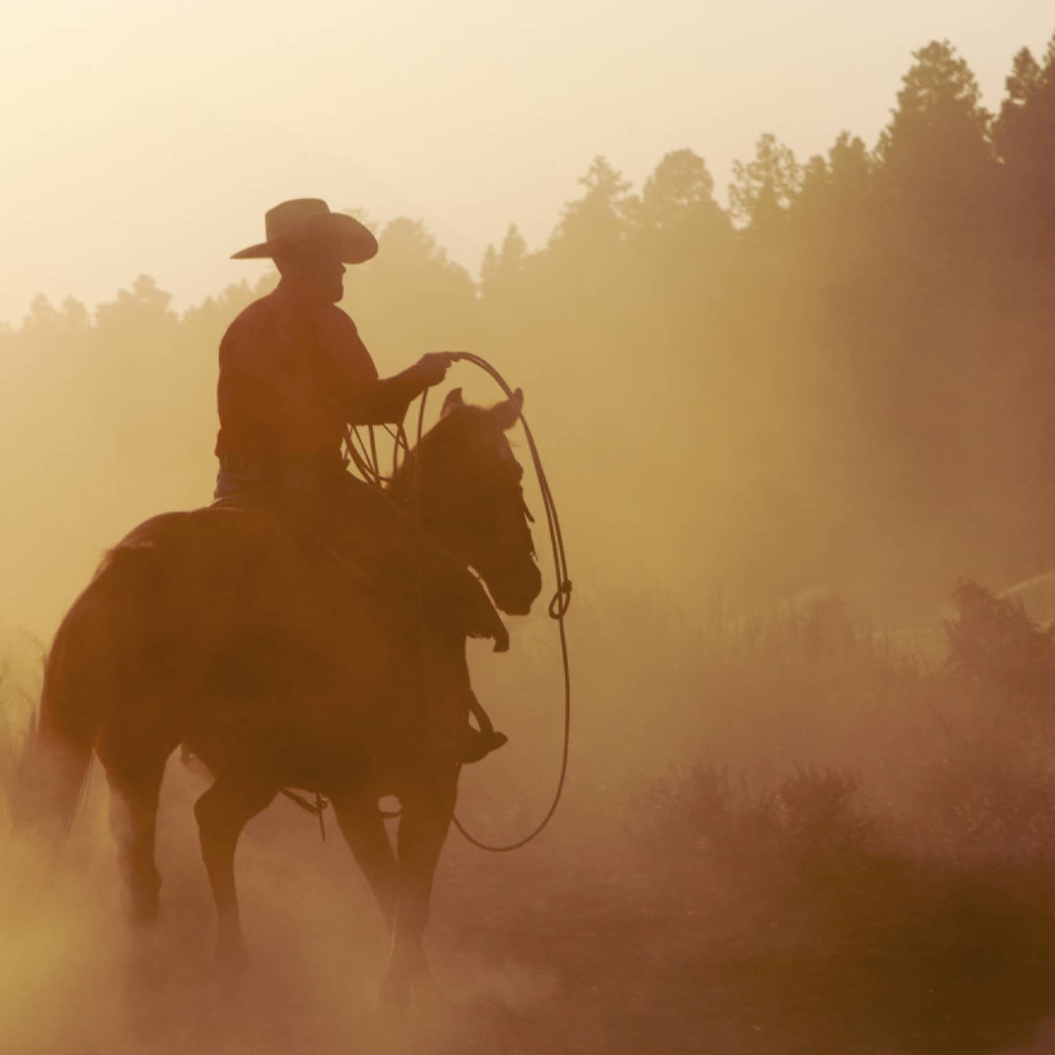 Silhouette of cowboy with rope on horse in misty mountain forest