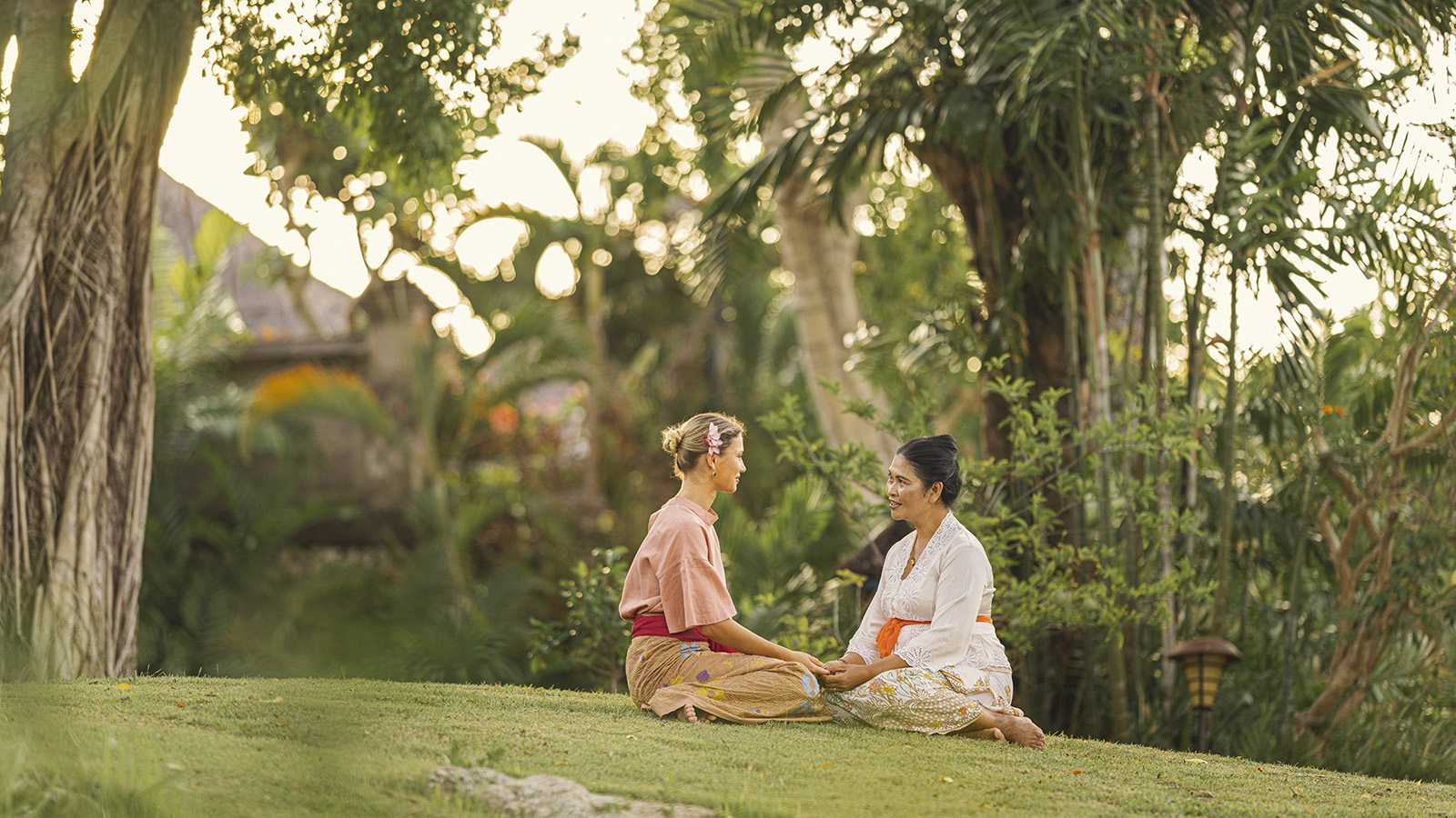 digital wellness journeys