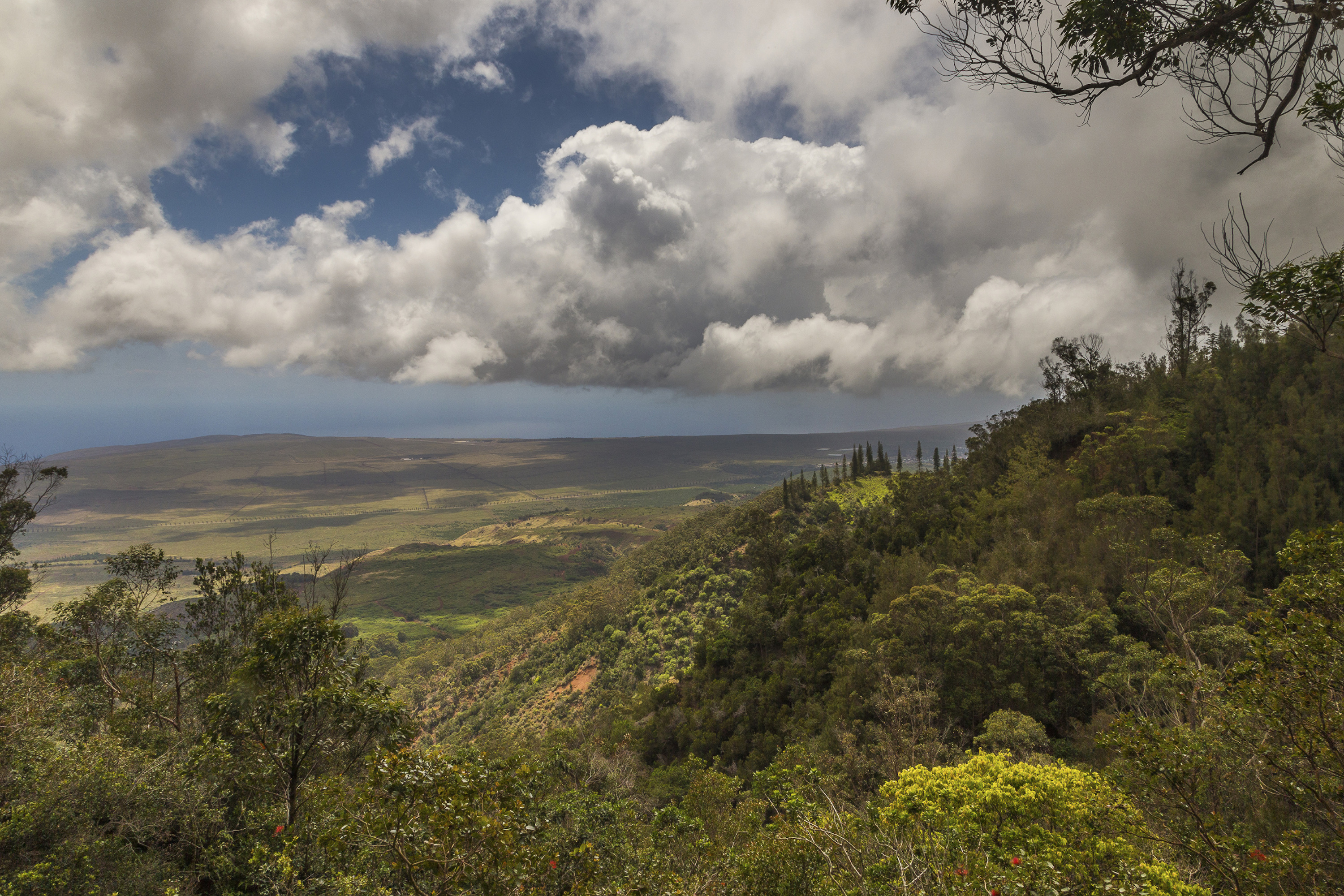 Sensei Lānaʻi, A Four Seasons Resort, property photograph