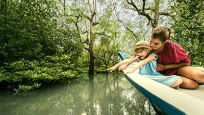 Family Trip Mangroves & Eagles Safari, Four Seasons Resort Langkawi