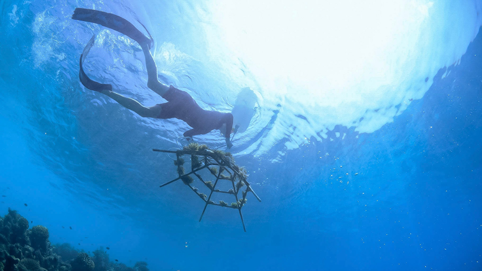 Four Seasons Resort Maldives at Landaa Giraavaru