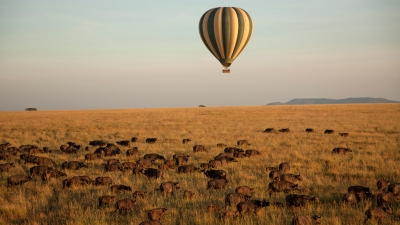 Hot air balloon over Serengeti