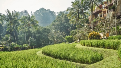 Four Seasons Bali Landscape