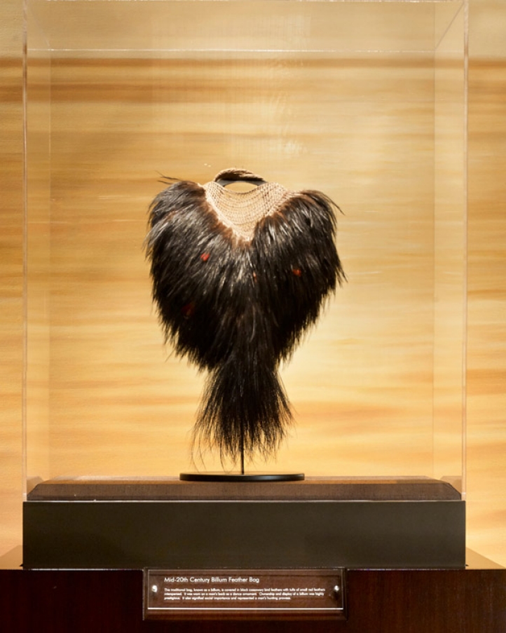 Hawaiian art at Four Seasons