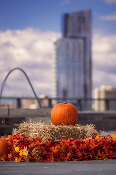 Pumpkins 