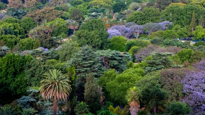 JBG_049_aspect16x9 JBG_049_aspect16x9