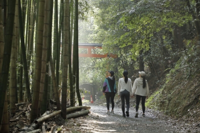 Destination - Nature Lifestyle