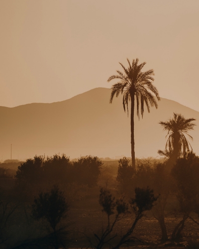 MRK_1971_aspect4x5 MRK_1971_aspect4x5