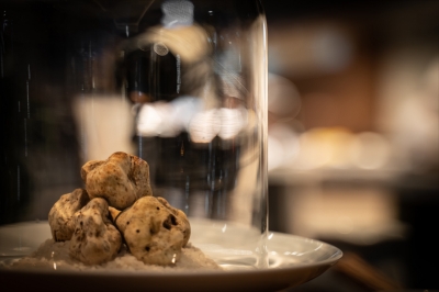 White Truffle