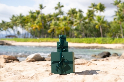 Festive - Guest Room Lifestyle Festive - Guest Room Lifestyle