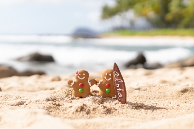Festive - Beach