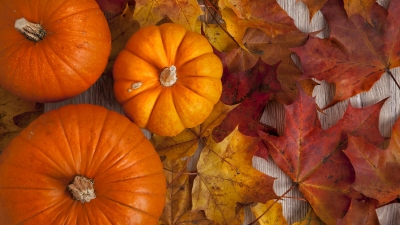 Pumpkins with Autumn Foliage
