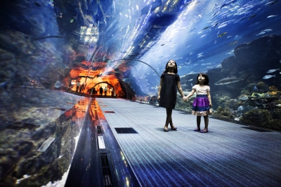 Destination - Dubai Aquarium