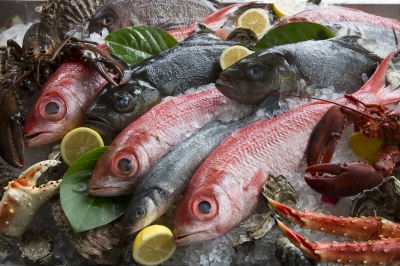Mina Fish House - Daily Catch